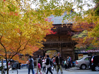 20101121momiji5