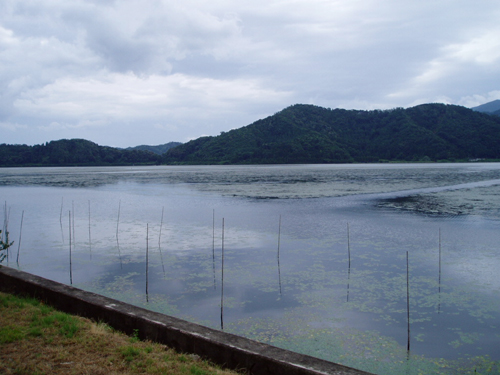 biwako20090629
