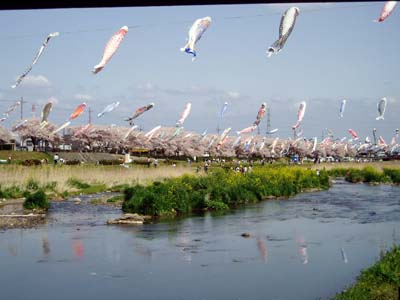 koigamieru