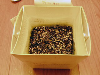 minichin20100709