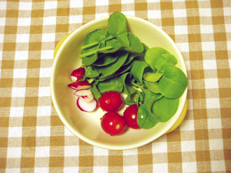 salad20101103