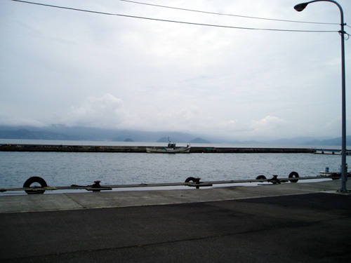 tomari