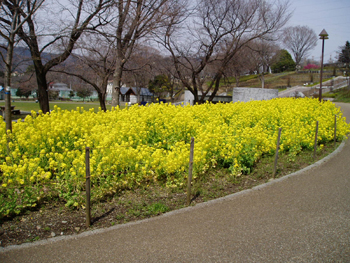 tsukui1
